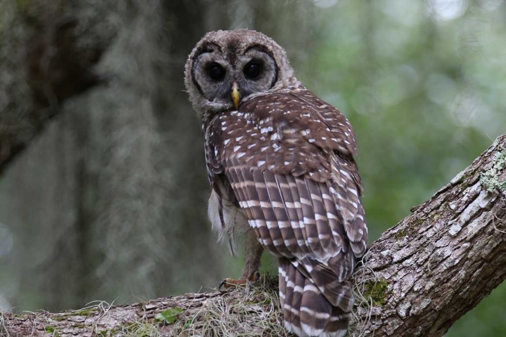 Quality of life for Oak Hill Residents Vote Joe Now